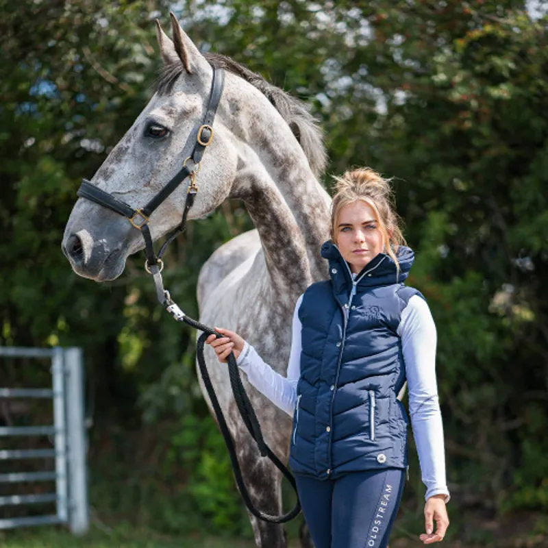 Coldstream Kimmerston Quilted Gilet in Navy-4